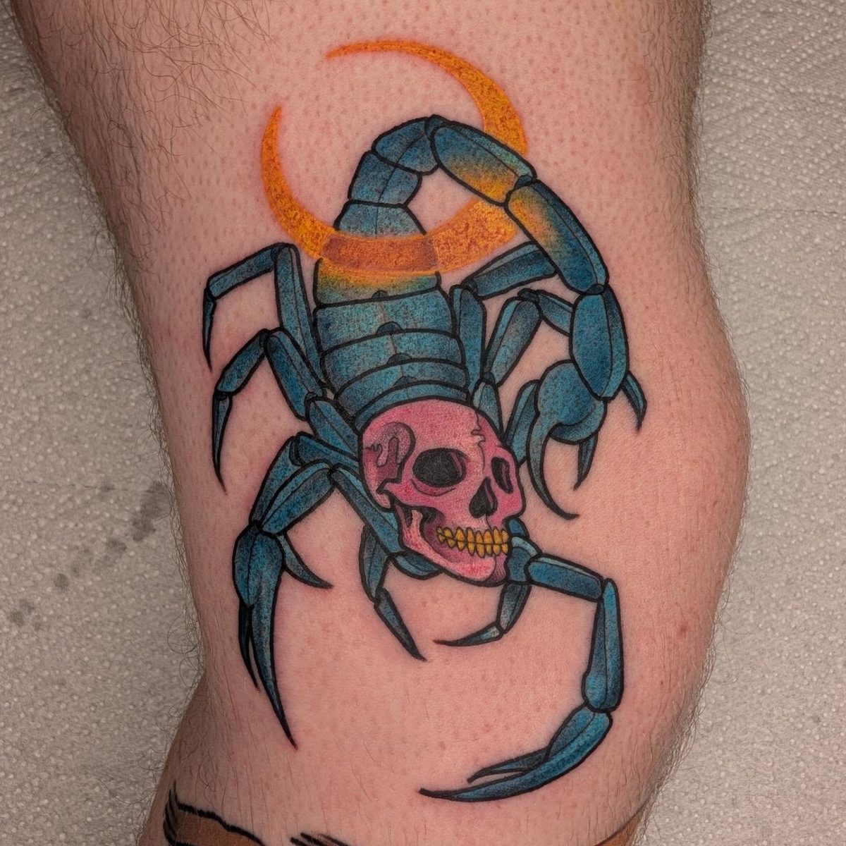 Iron Sky colour scorpion and skull tattoo